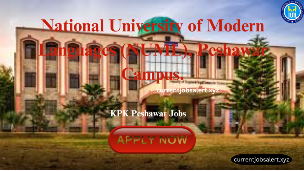 KPK Peshawar Jobs