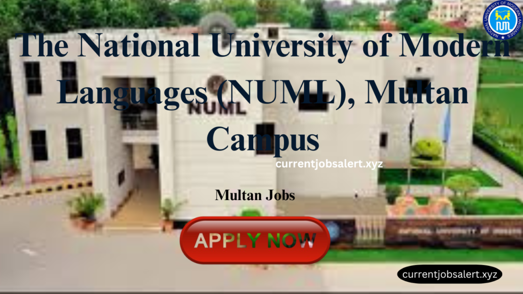 Multan Jobs